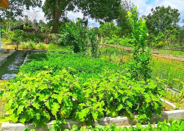 Adama Farmhouse @ Hacienda San Benito
